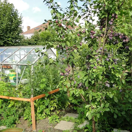 Rockleaze Guesthouse-3